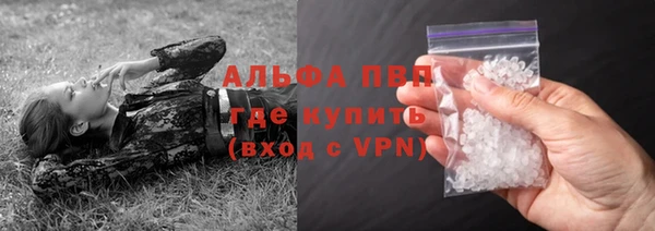 сатива Баксан