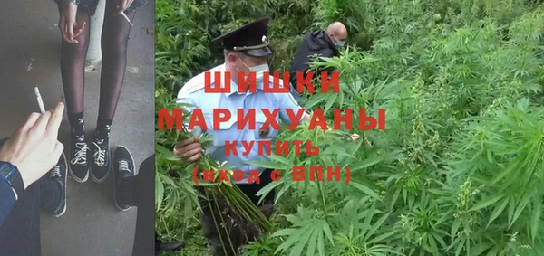 сатива Баксан