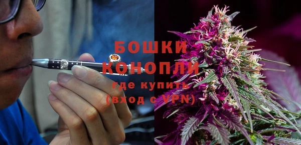 сатива Баксан