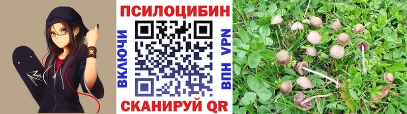 Псилоцибиновые грибы мицелий купить наркотики цена Отрадное